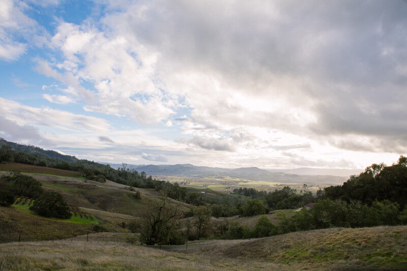 Hickinbotham Vineyards