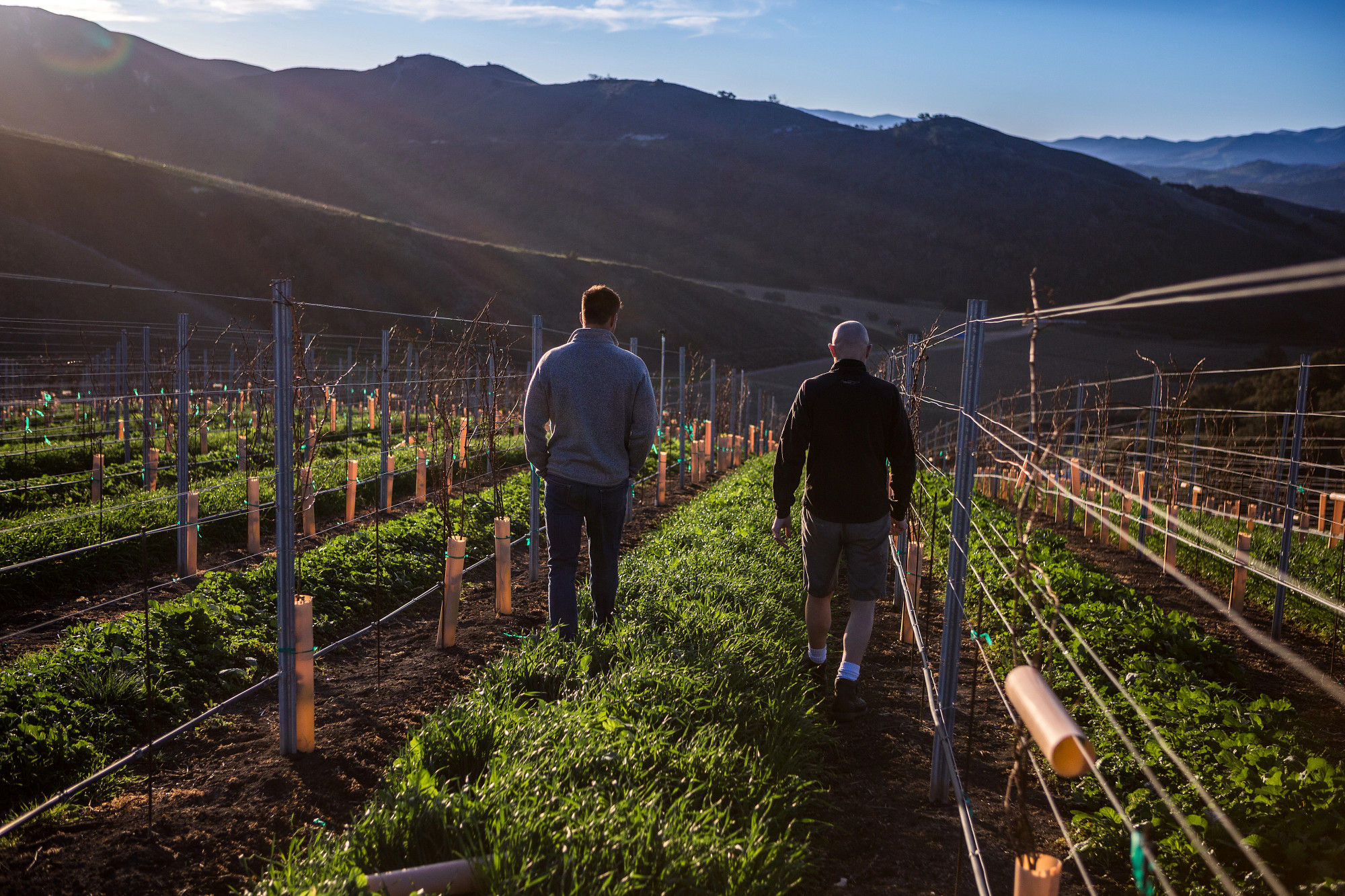 Sta. Rita Hills Pinot Noir